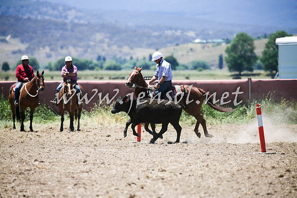 AdaminabyCampdraft2016_0191