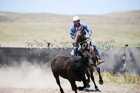 AdaminabyCampdraft2016_0201
