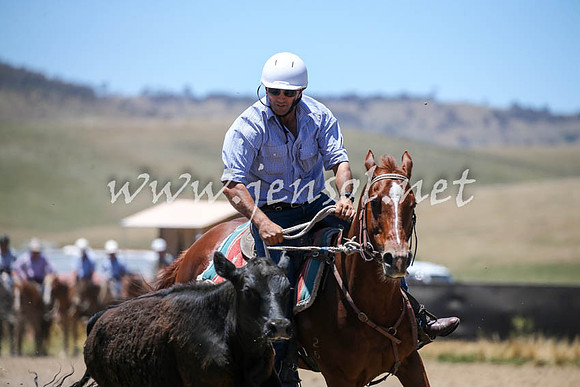 AdaminabyCampdraft2016_0178
