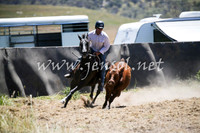 AdaminabyCampdraft2016_0102