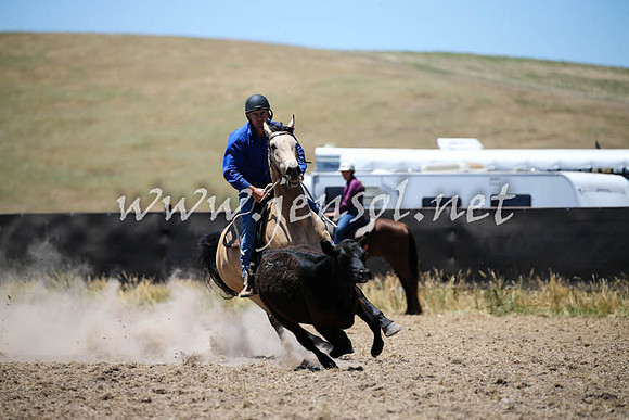 AdaminabyCampdraft2016_0146
