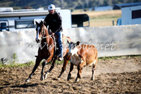 AdaminabyCampdraft2016_0001