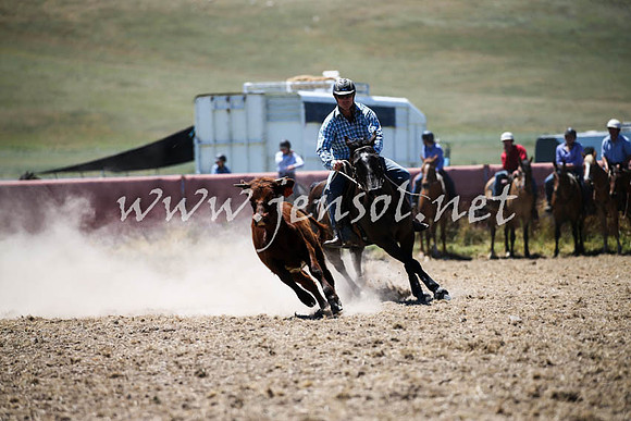 AdaminabyCampdraft2016_0075