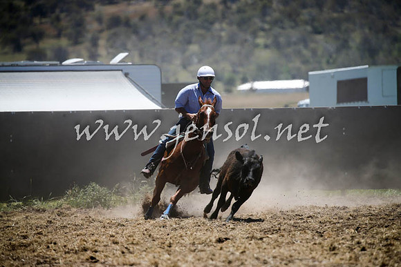 AdaminabyCampdraft2016_0169
