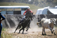 AdaminabyCampdraft2016_0091