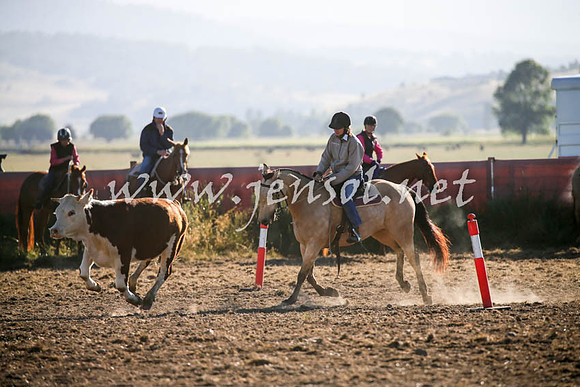 AdaminabyCampdraft2016_0026