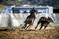 AdaminabyCampdraft2016_0013