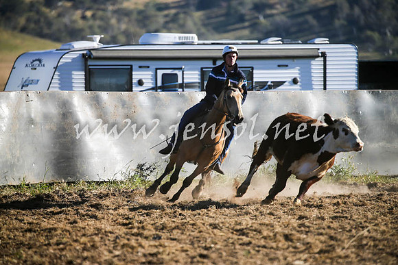 AdaminabyCampdraft2016_0013