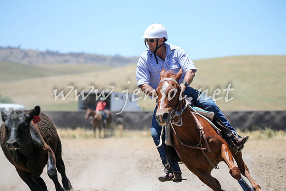 AdaminabyCampdraft2016_0185