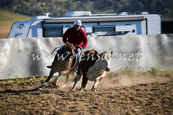 AdaminabyCampdraft2016_0005