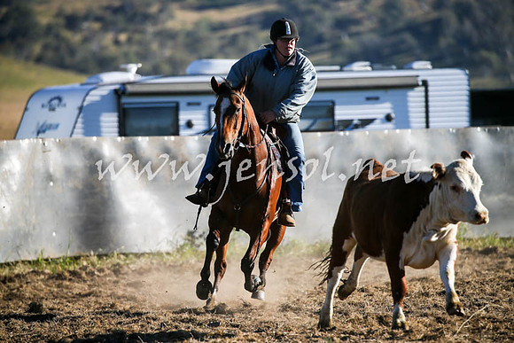 AdaminabyCampdraft2016_0038