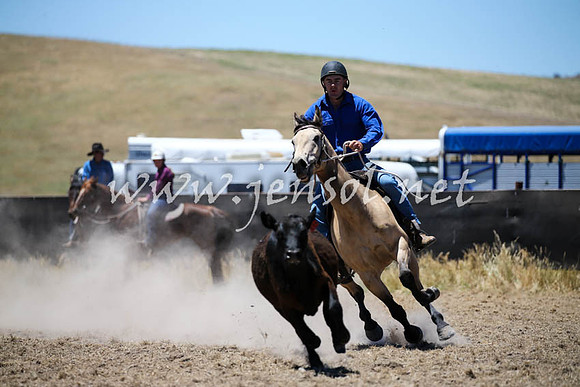 AdaminabyCampdraft2016_0151