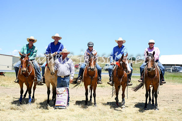 AdaminabyCampdraft2016_5001