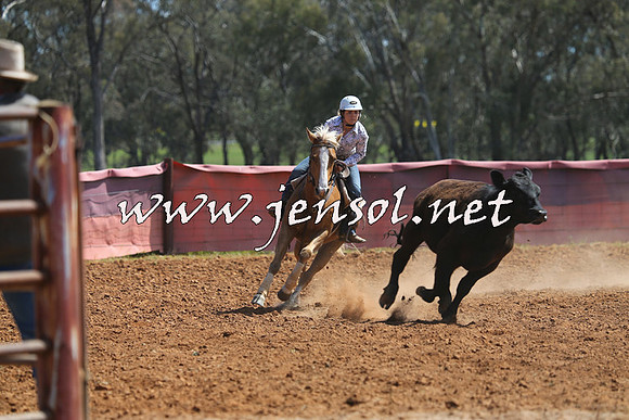 IllaboCampdraft2015_1002
