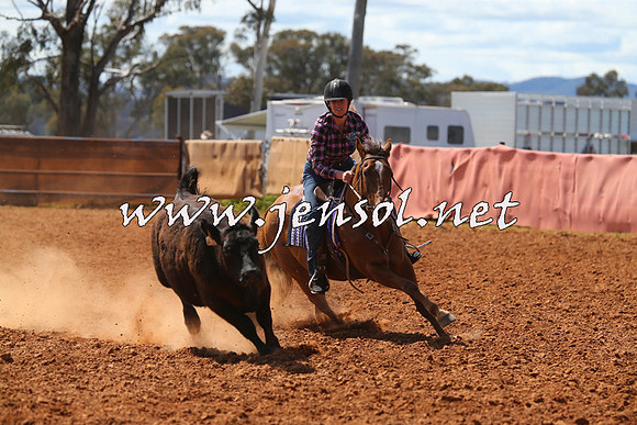 IllaboCampdraft2015_1038