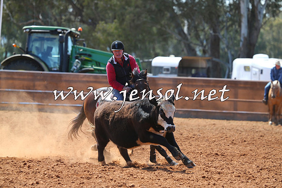 IllaboCampdraft2015_1013