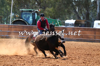 IllaboCampdraft2015_1014