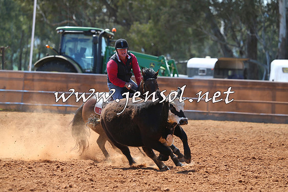 IllaboCampdraft2015_1014