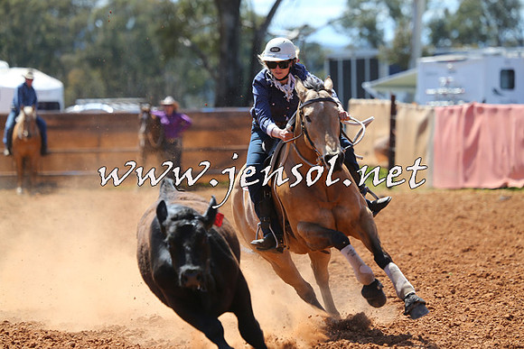 IllaboCampdraft2015_1006