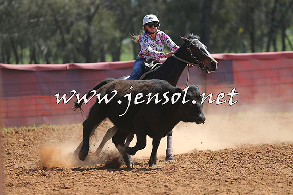 IllaboCampdraft2015_1019