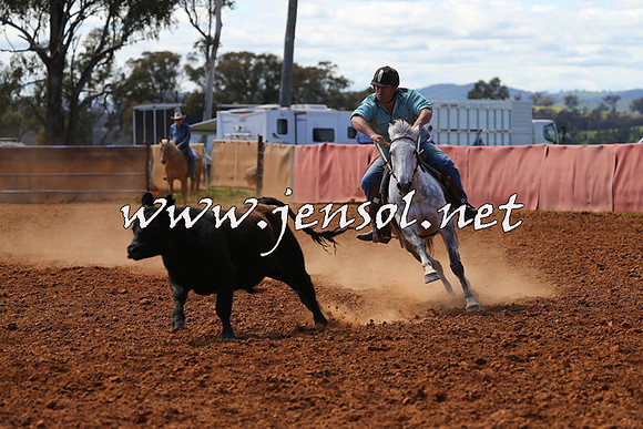 IllaboCampdraft2015_1031