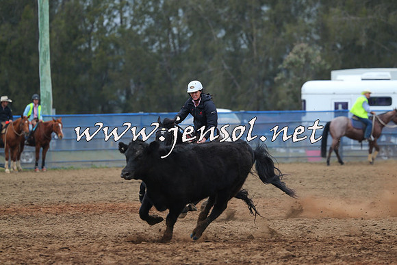CountyofCumberland2015_3793