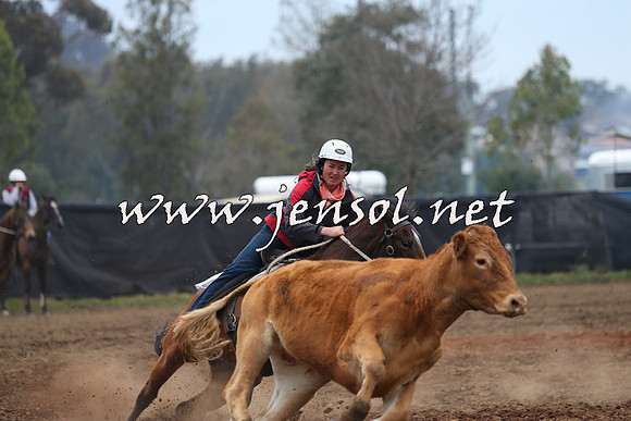 CountyofCumberland2015_3732