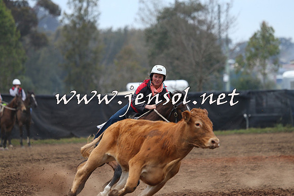 CountyofCumberland2015_3727