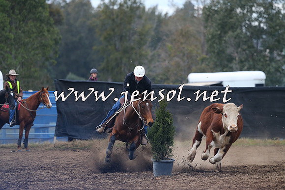 CountyofCumberland2015_3622