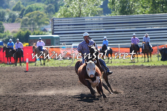 NimmitabelCampdraft2015_2122