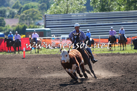 NimmitabelCampdraft2015_2124