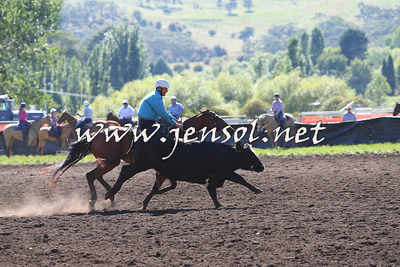 NimmitabelCampdraft2015_2133