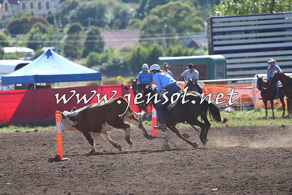 NimmitabelCampdraft2015_2097