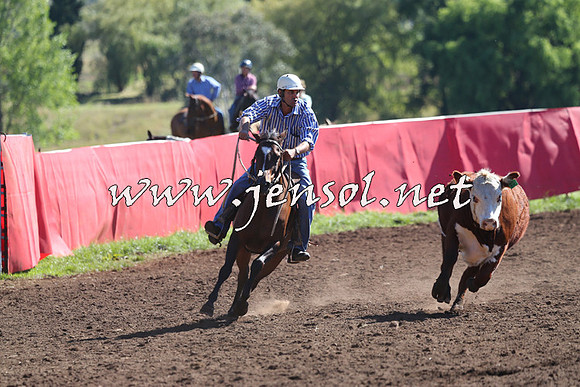 NimmitabelCampdraft2015_2115