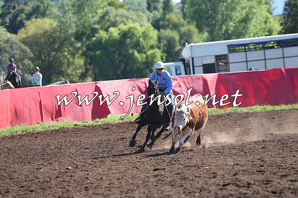NimmitabelCampdraft2015_2087