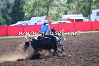 NimmitabelCampdraft2015_2077