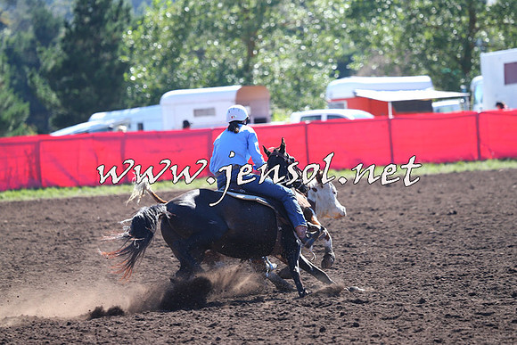NimmitabelCampdraft2015_2077