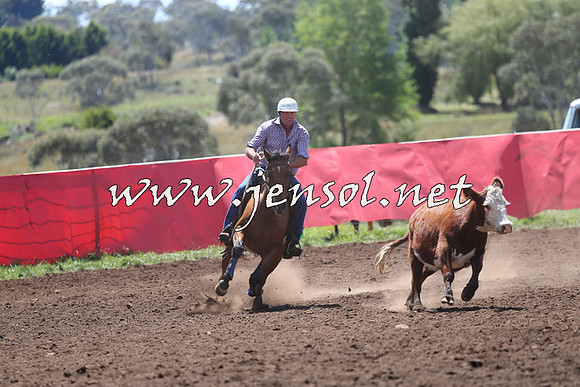 NimmitabelCampdraft2015_2262