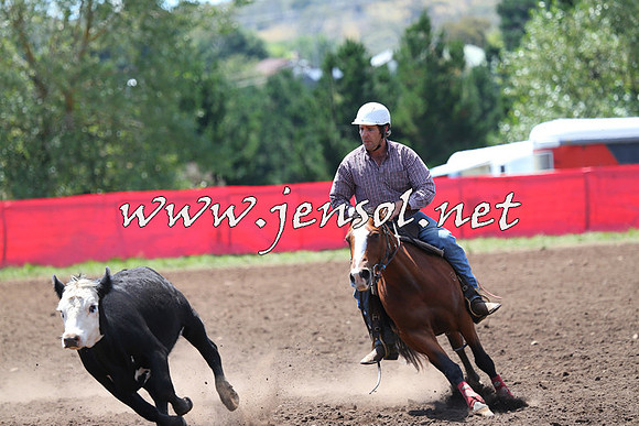 NimmitabelCampdraft2015_2231
