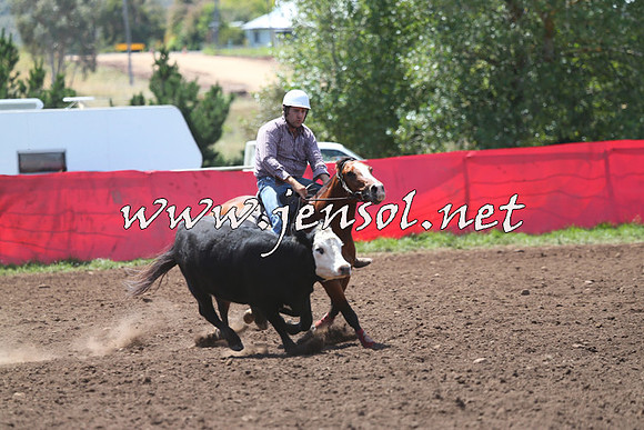 NimmitabelCampdraft2015_2225