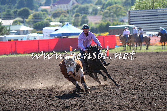 NimmitabelCampdraft2015_2107