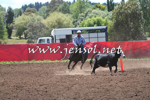 NimmitabelCampdraft2015_2163