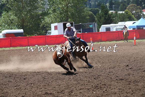NimmitabelCampdraft2015_2266