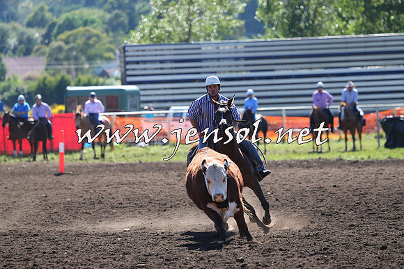 NimmitabelCampdraft2015_2121