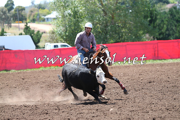NimmitabelCampdraft2015_2234