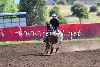 NimmitabelCampdraft2015_2011