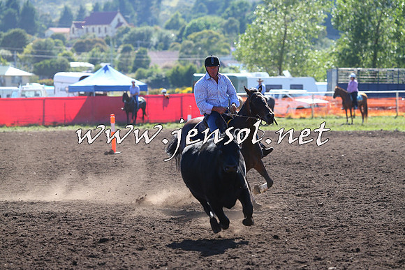 NimmitabelCampdraft2015_2047