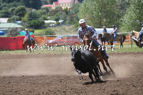 NimmitabelCampdraft2015_2269