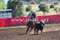 NimmitabelCampdraft2015_2034