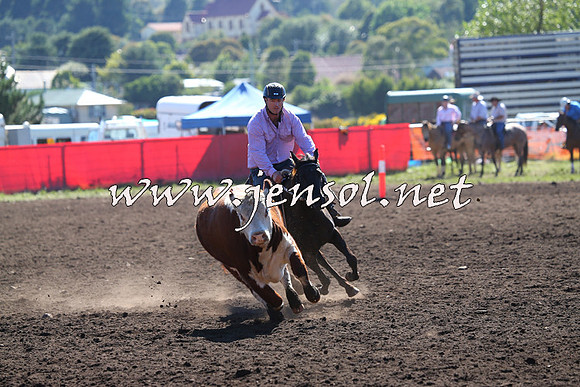 NimmitabelCampdraft2015_2110
